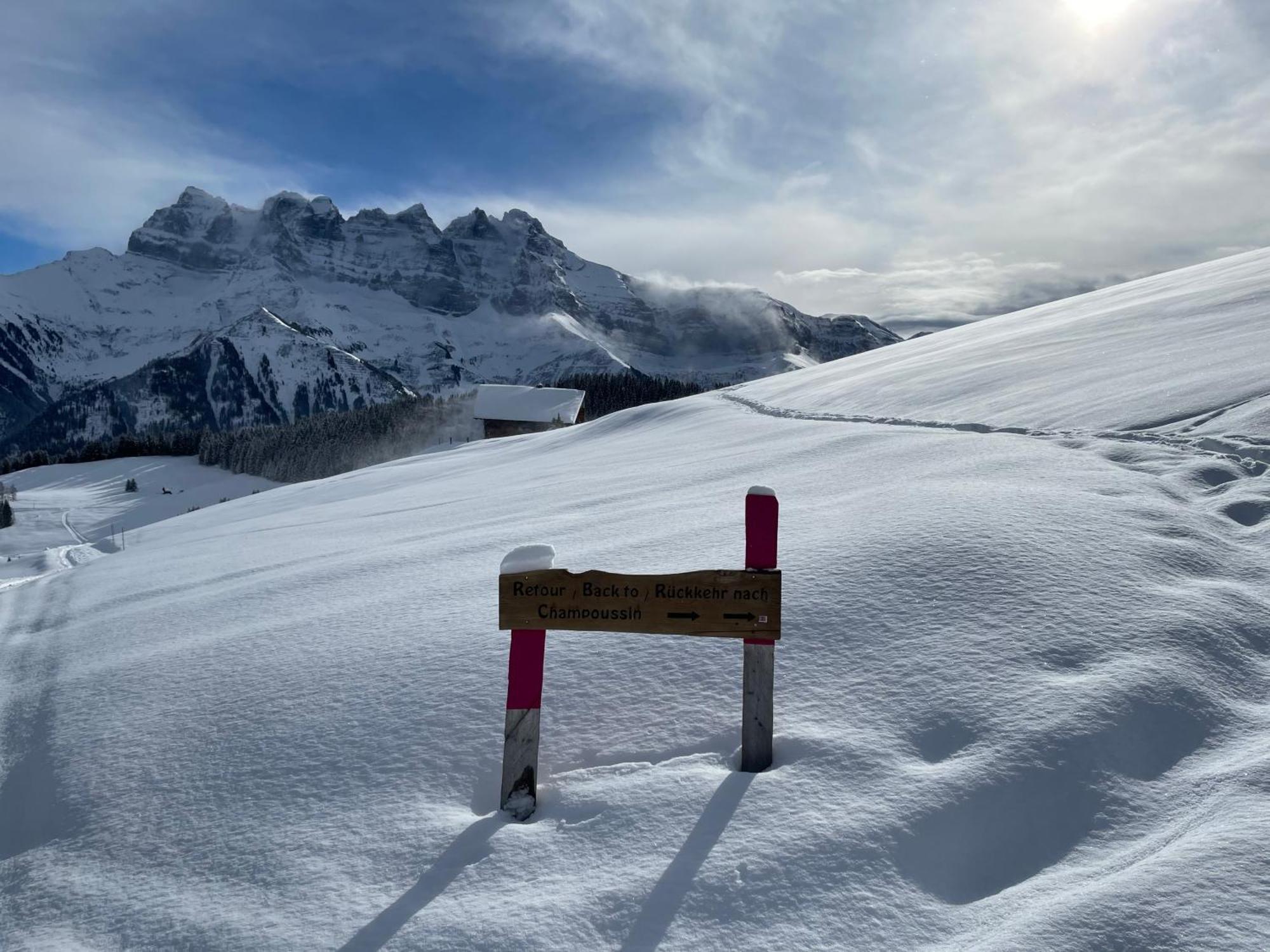 Chalet Montriond - Bike & Ski Les Crosets Exterior foto
