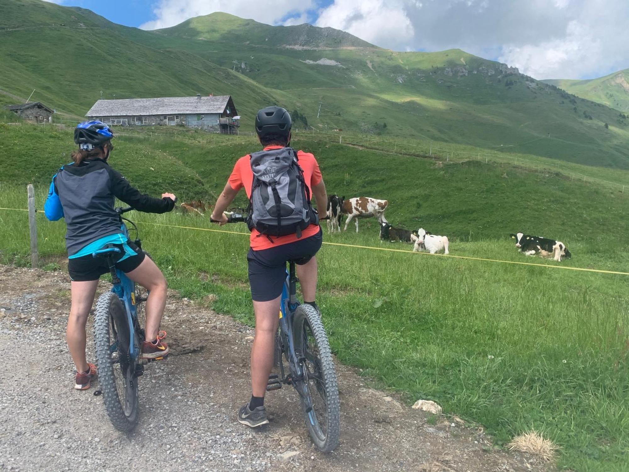 Chalet Montriond - Bike & Ski Les Crosets Exterior foto