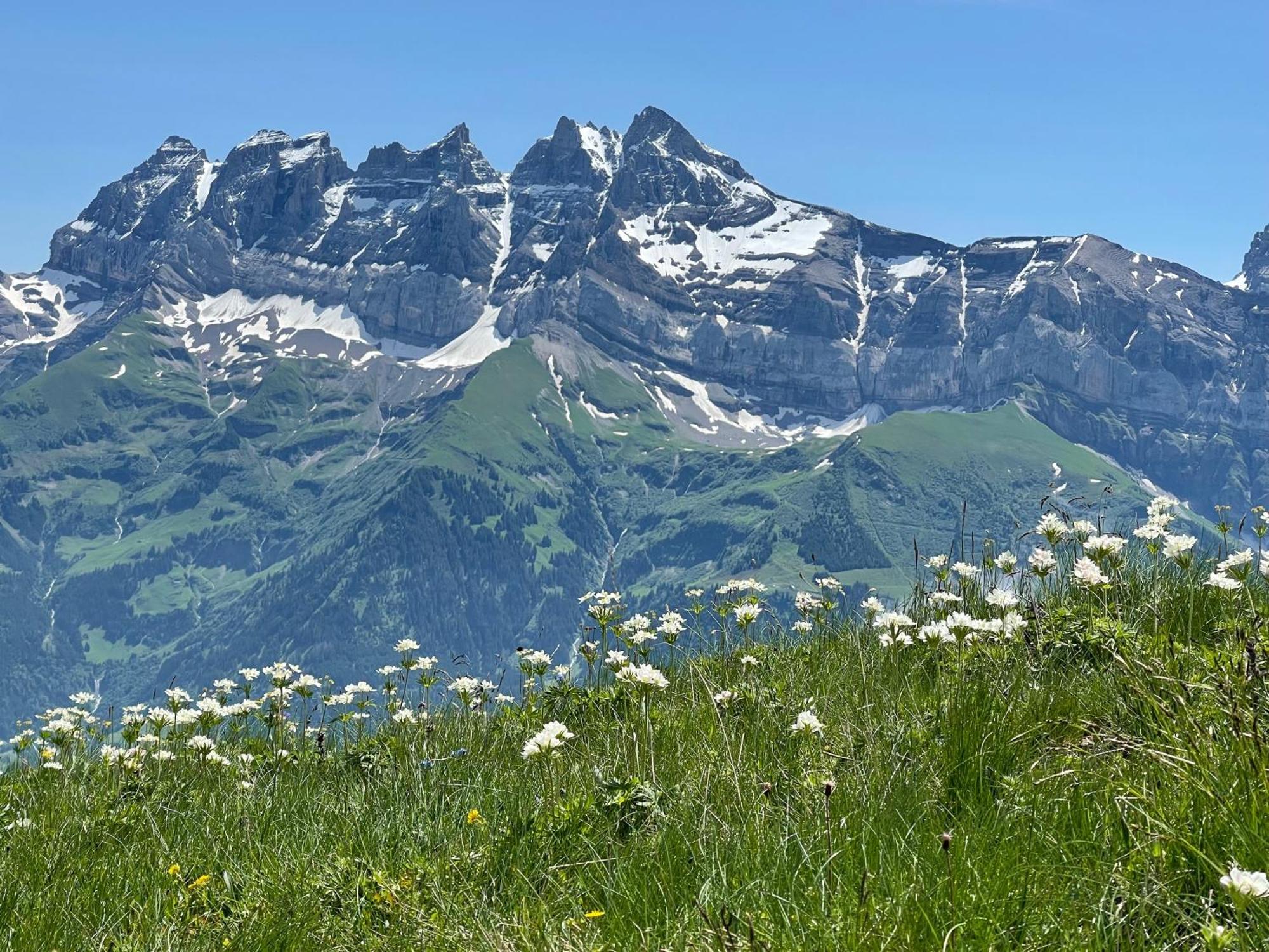 Chalet Montriond - Bike & Ski Les Crosets Exterior foto